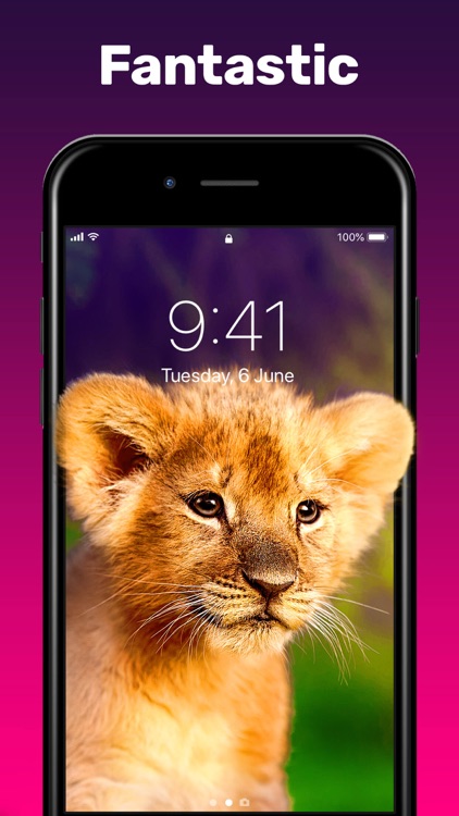 Live Wallpaper 。 screenshot-0