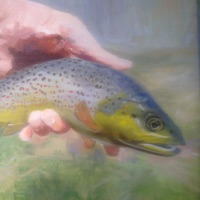PLANS-PECHE en FRANCE pour PC