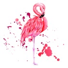 Watercolor Flamingo Stickers