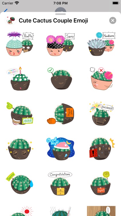 Cute Cactus Couple Emoji