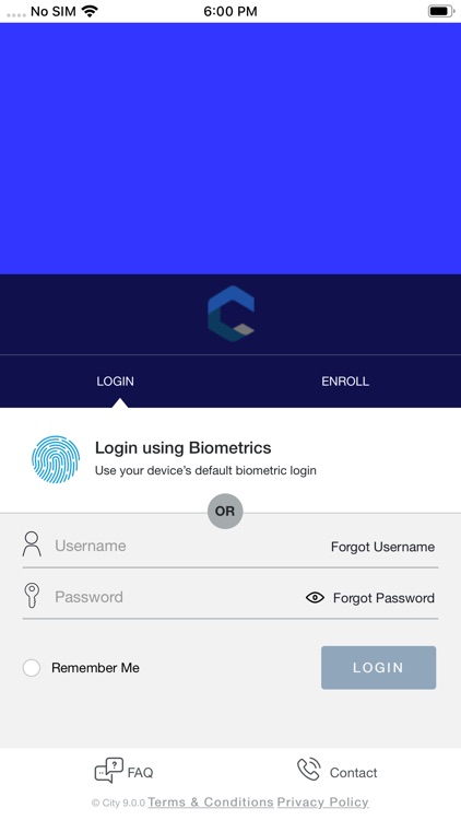 CITY FCU MOBILE APP visual data 5