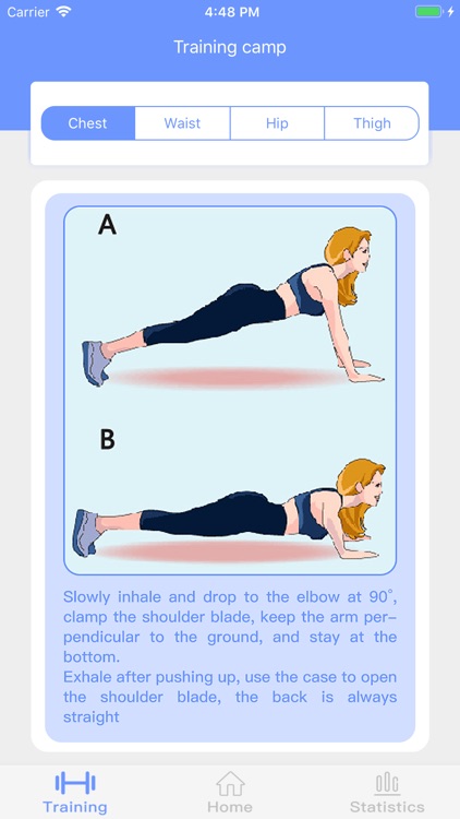 Bodybuild Master-Golden Ratio