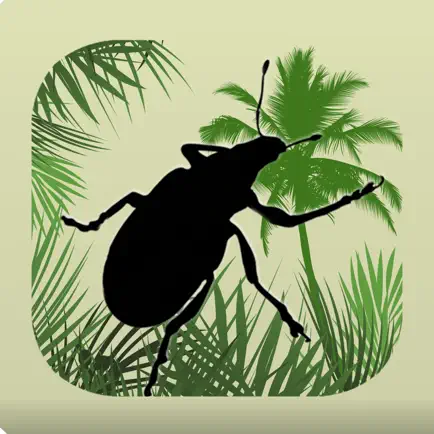 Palm Pests Key Cheats