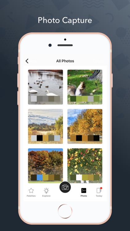 Color Collect - Palette Studio screenshot-4