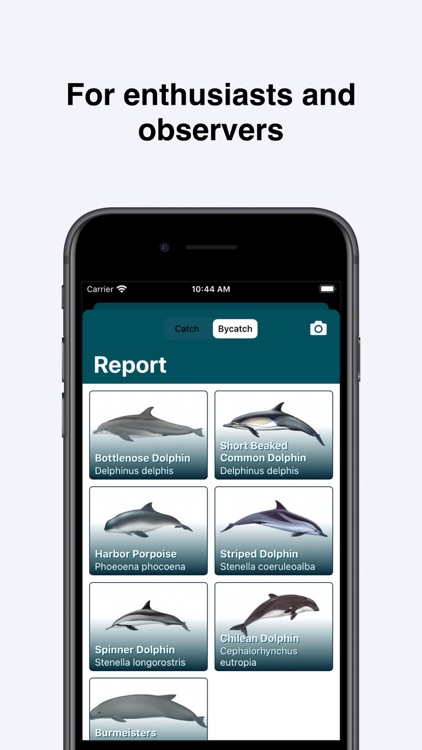 NetGuard - Reduce Bycatch screenshot-5