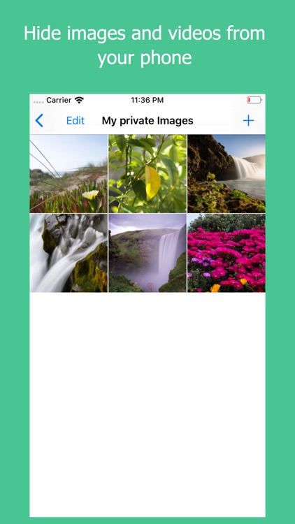 Vault- Hide Photos, Video, Web screenshot-3