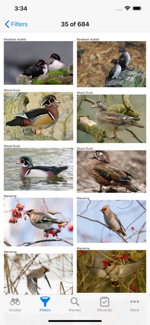 Canadian Birds(圖3)-速報App