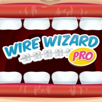 Wire Wizard Pro pour PC