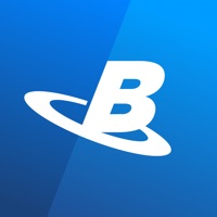 BizVize pour PC