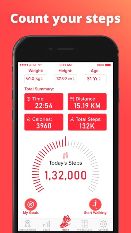 Pedometer -