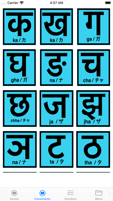 Nepali Phrase screenshot 3