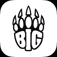 BIG Fan App Erfahrungen und Bewertung