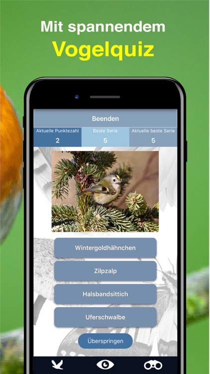 Bird Id - Garden Birds Germany screenshot-6