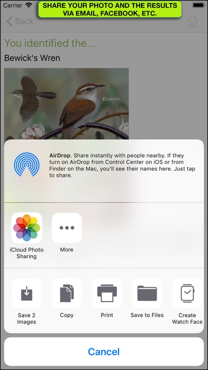 iBird Photo Sleuth screenshot-8