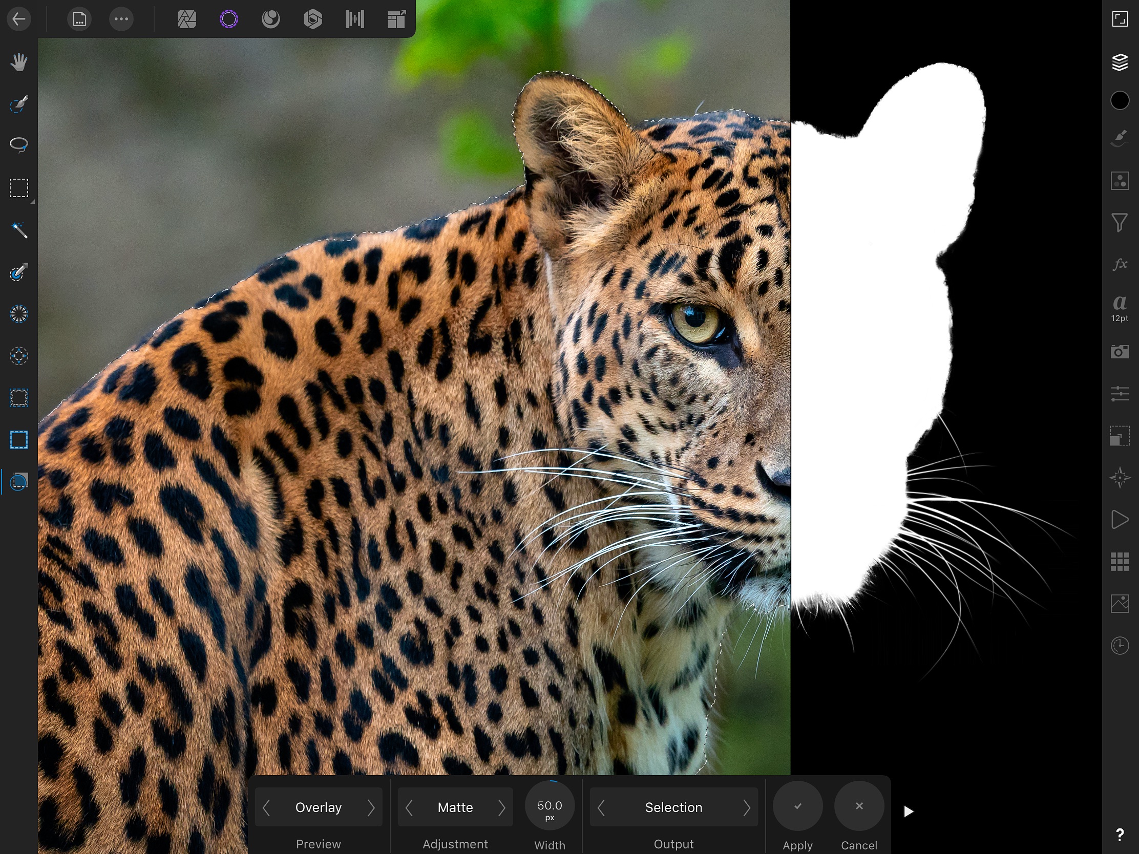 Screenshot do app Affinity Photo