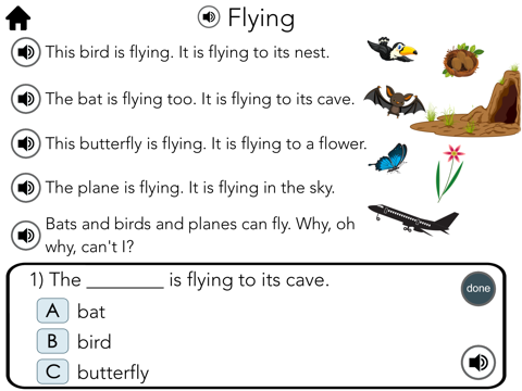 Reading Comprehension: Level D - náhled
