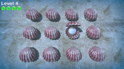 Sea Shell Game screenshot 1