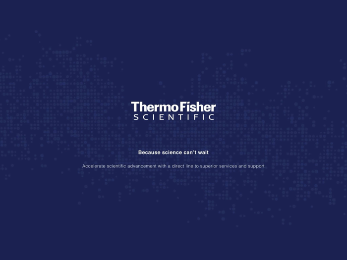 Services  Support Experience