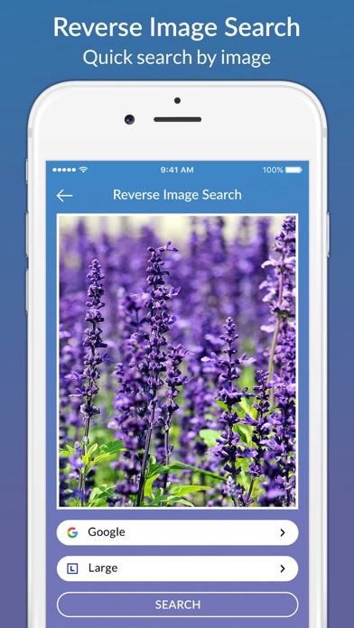 Search with Image or Picture screenshot 2