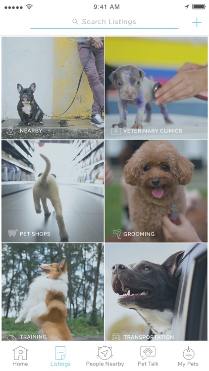 Pet Widget - The Best Pet App