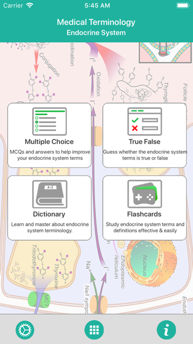 How to cancel & delete Endocrine System Medical Terms from iphone & ipad 1