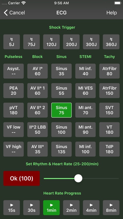 Medical Rescue Sim Remote