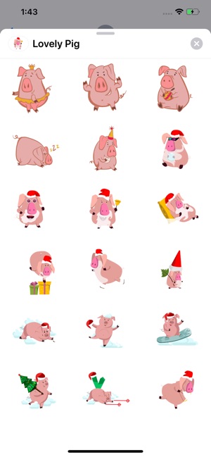 Lovely Pig Sticker Pack