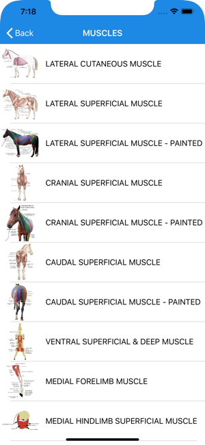 Equine Anatomy Learning Aid(圖2)-速報App