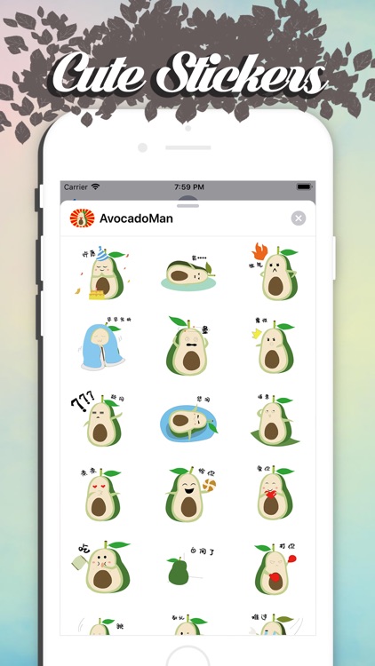 AvocadoManoy