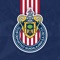 Noticias, promociones exclusivas y toda la historia del Rebaño Sagrado en un solo lugar: ¡La app oficial de Chivas