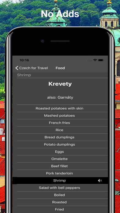 Czech for Travel screenshot 4