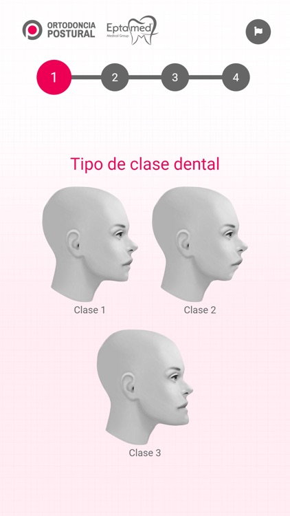 El dispositivo