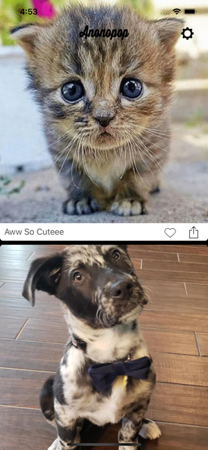 Anonopop: Aww Cute Pet Photos(圖1)-速報App