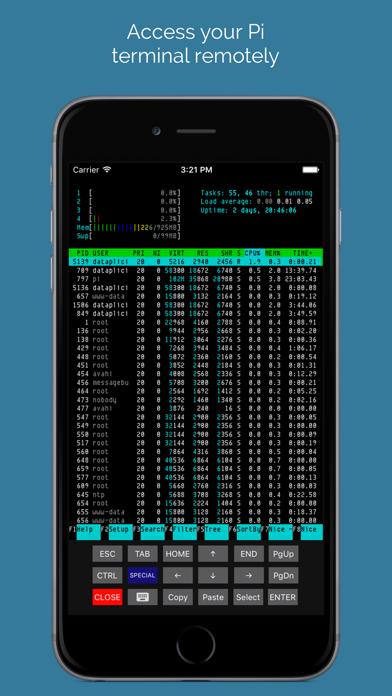 Dataplicity - Terminal for Pi screenshot 2