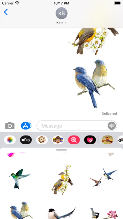 Amazing Birds Gallery screenshot-4