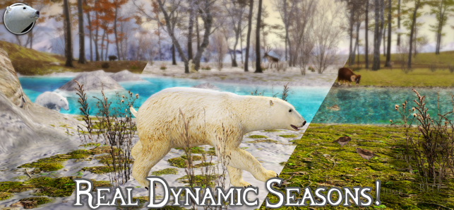 Polar Bear Simulator 2(圖2)-速報App