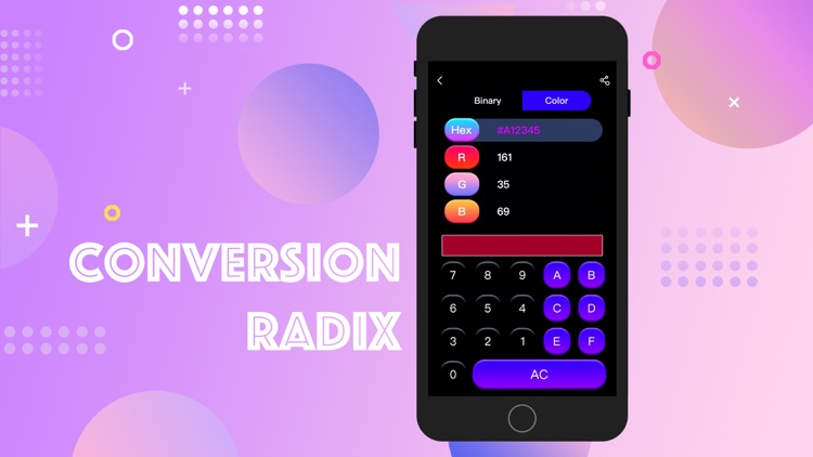 ConversionRadix