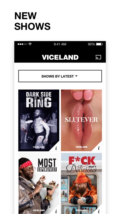 VICELAND