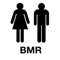 BMR Kit app will automatically fetch information from Health kit and calculate the BMR for you