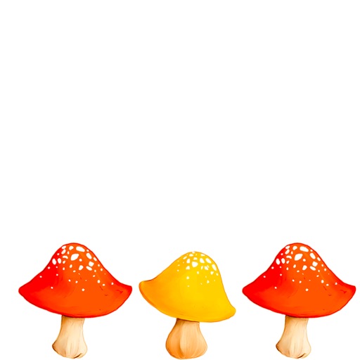 Mushroom Concert