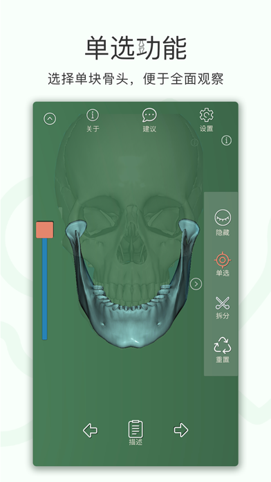 人体骨骼-3D screenshot 4