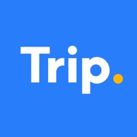 Trip.com ne fonctionne pas? problème ou bug?