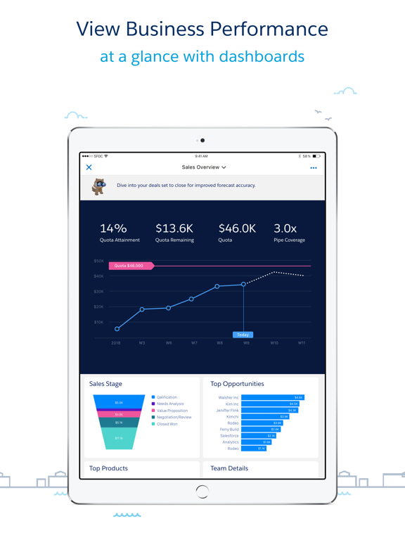 Salesforce Wave Analytics screenshot