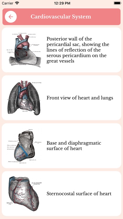 Human Anatomy Guide Offline