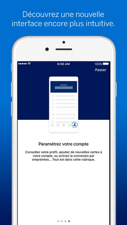 Amex France