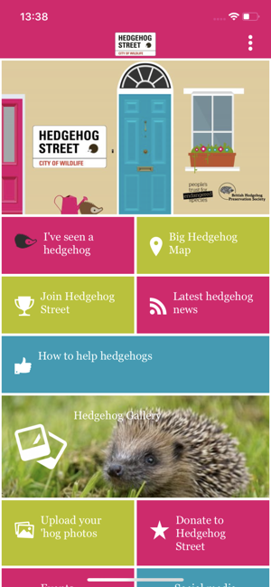 Hedgehog Street