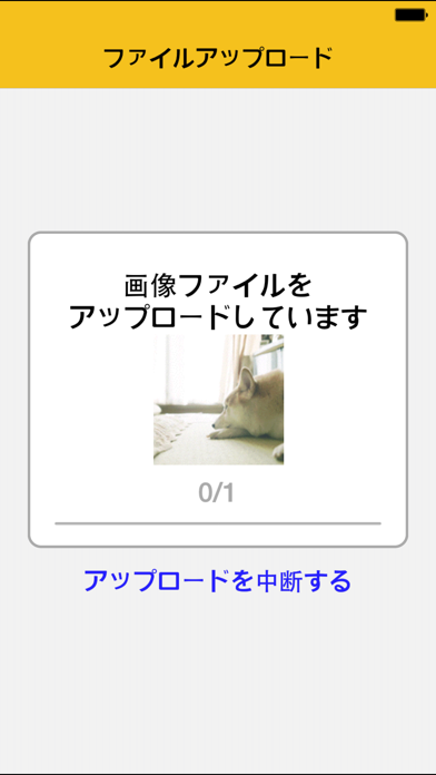 Tプリント-1枚6円で写真プリント for iPhoneのおすすめ画像5