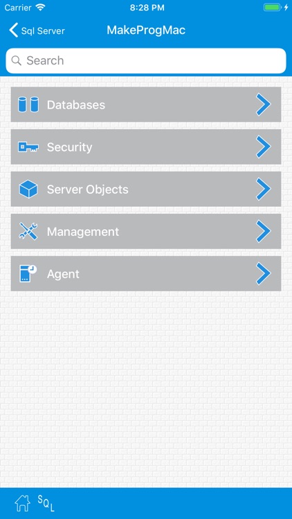 SqlWebProg2 Sql Server Client