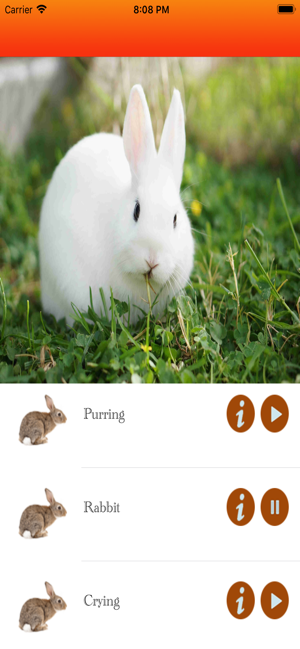 Rabbit Hunting calls(圖4)-速報App