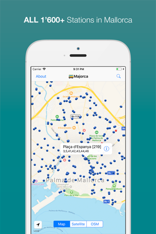 Majorca Public Transport - náhled